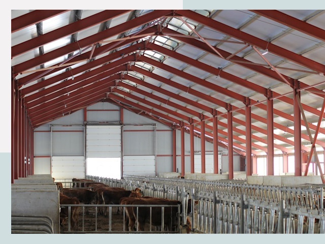 Строительство коровников в Уссурийске