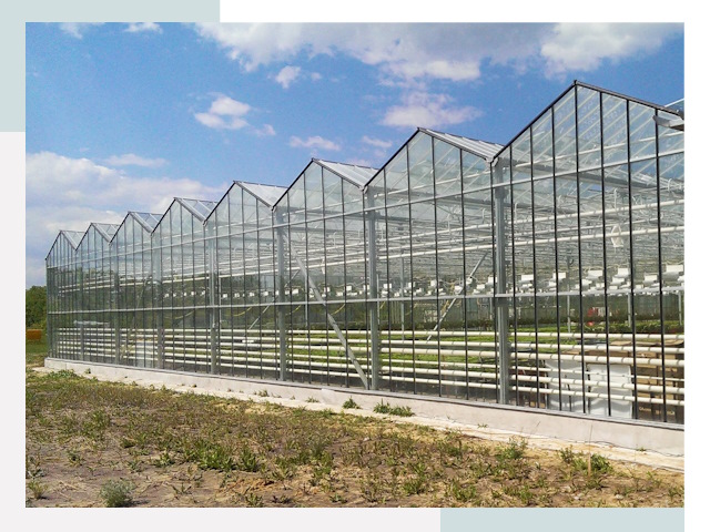 Строительство теплиц в Уссурийск от 619 руб. за м²