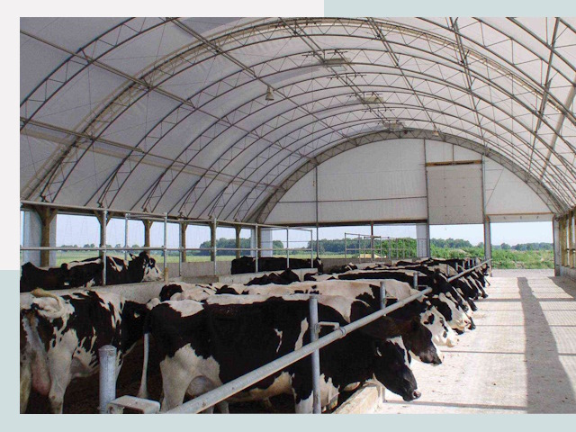 Тентовые коровники в Уссурийске